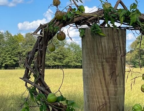 decorating a natural wreath for fall 