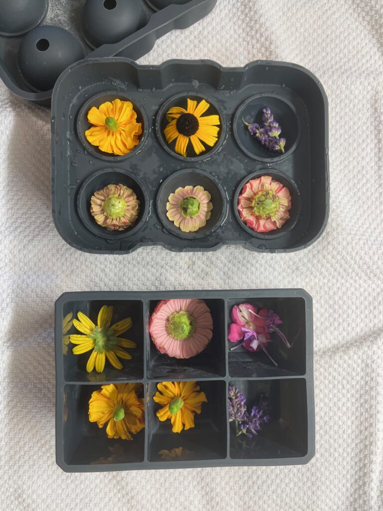 flowers in ice cube tray