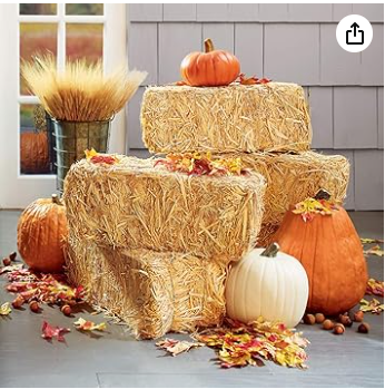 Straw hay for Fall DIY Photoshoot 