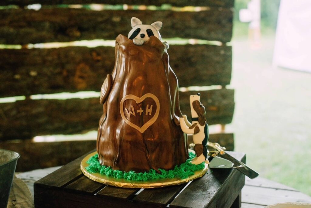 raccoon hunting grooms cake 